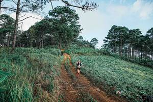 BIB: 
                            <button type="button" onclick="openModal(25654043)" class="btn btn-primary btn-sm float-right btn-popup" data-toggle="modal" data-target=".modal-high-quality">
                        <i class="fas fa-shopping-cart"></i> Add to Cart
                    </button>
                                            <button type="button" onclick="isThisMe(25654043, true)" class="btn btn-success btn-sm float-right btn-popup btn-isme hidden" data-toggle="tooltip" data-placement="bottom" title="นี่คือรูปของคุณใช่ไหม คลิกที่นี่เพื่อเอาเข้าอัลบั้ม">
                        <i class="fas fa-plus"></i> Add to album
                    </button>
                    <button type="button" onclick="isThisMe(25654043, false)" class="btn btn-warning btn-sm float-right btn-popup btn-isnotme hidden">
                        <i class="fas fa-ban"></i> Remove from album
                    </button>